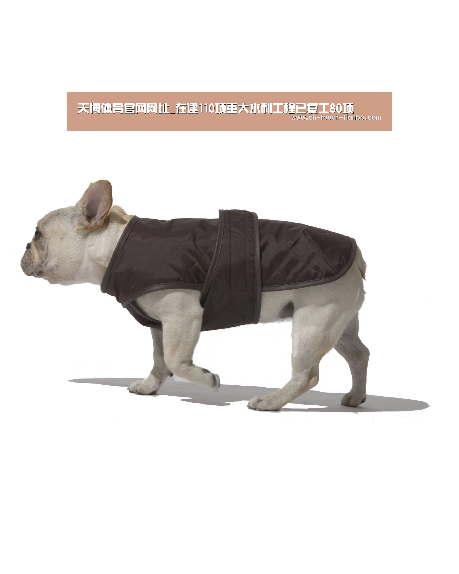 天博体育app