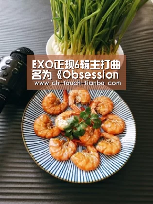 EXO正规6辑主打曲名为《Obsession》 11月27日公开音源|天博体育官网网址(图2) 天博体育官网